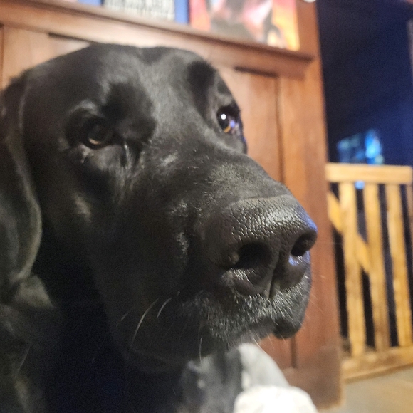 Meet your Posher, Jennifer - Picture 2 of 16